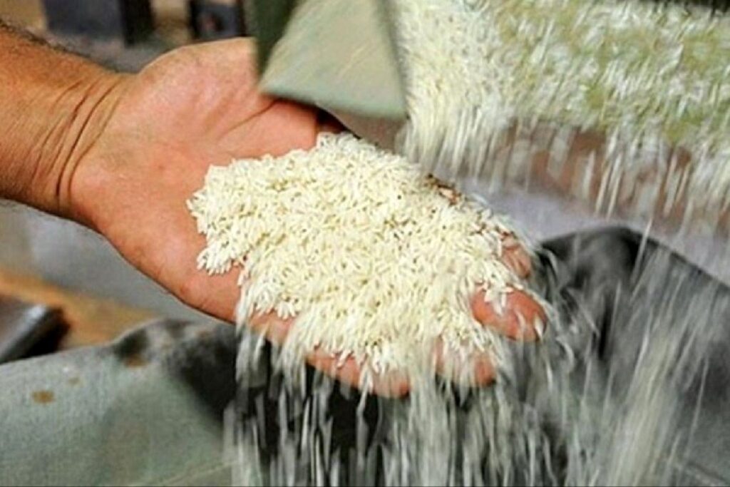 توزیع برنج