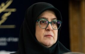 سخنگوی دولت عارف با کروبی