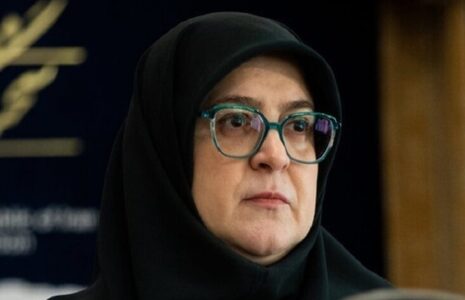 سخنگوی دولت عارف با کروبی