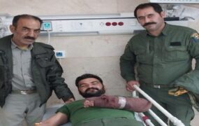 شلیک شکارچی غیرمجاز محیط بان