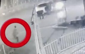 قتل دانشجو سارقان زورگیر