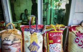 قیمت برنج