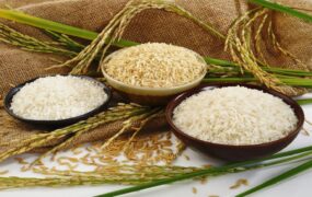 قیمت برنج ایرانی طارم
