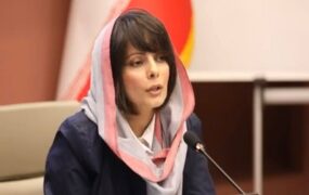 پرتره دختر نشسته رضا عباسی