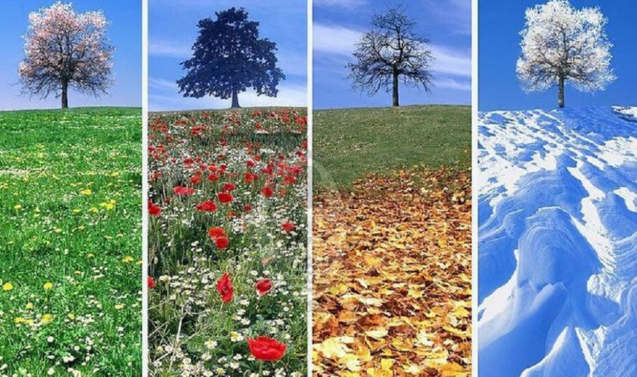 نیازهای بدن ما بسته به فصل سال