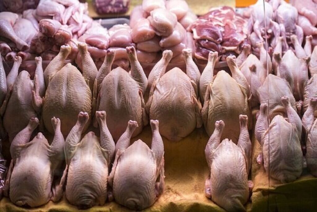 گوشت