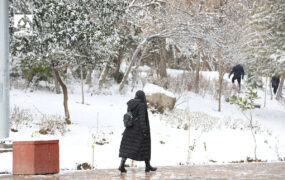 یخبندان