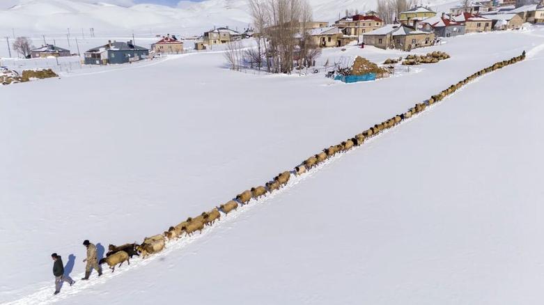 بارش برف در استان وان ترکیه