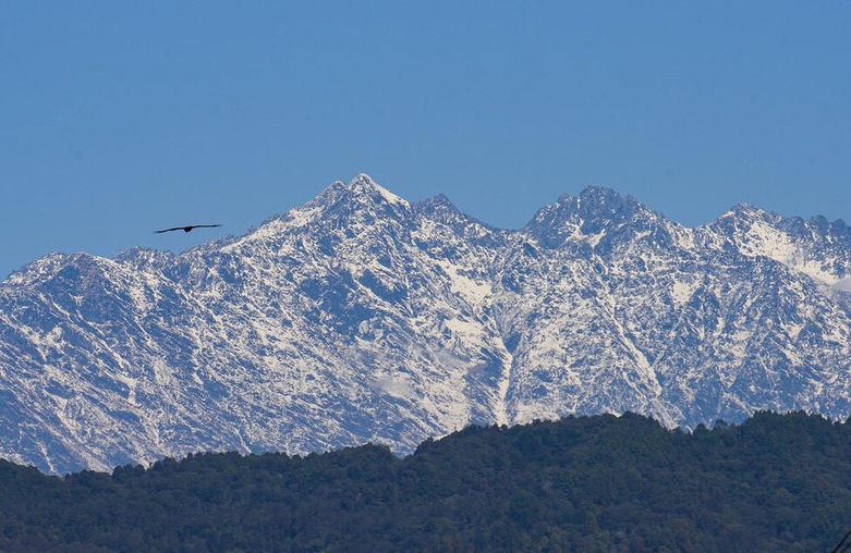 پرواز یک عقاب در کوهستان های پایتخت نپال