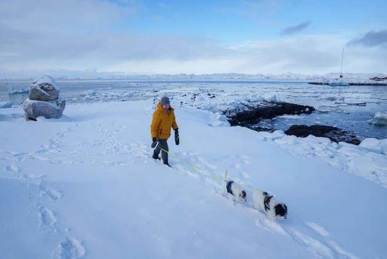 دیدنی های امروز؛ از حال و هوای رمضانی غزه تا اختتامیه کارناوال ونیز ساحل برفی گرینلند