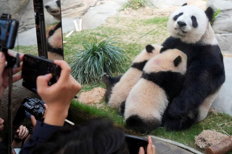 باغ وحش هنگ کنگ