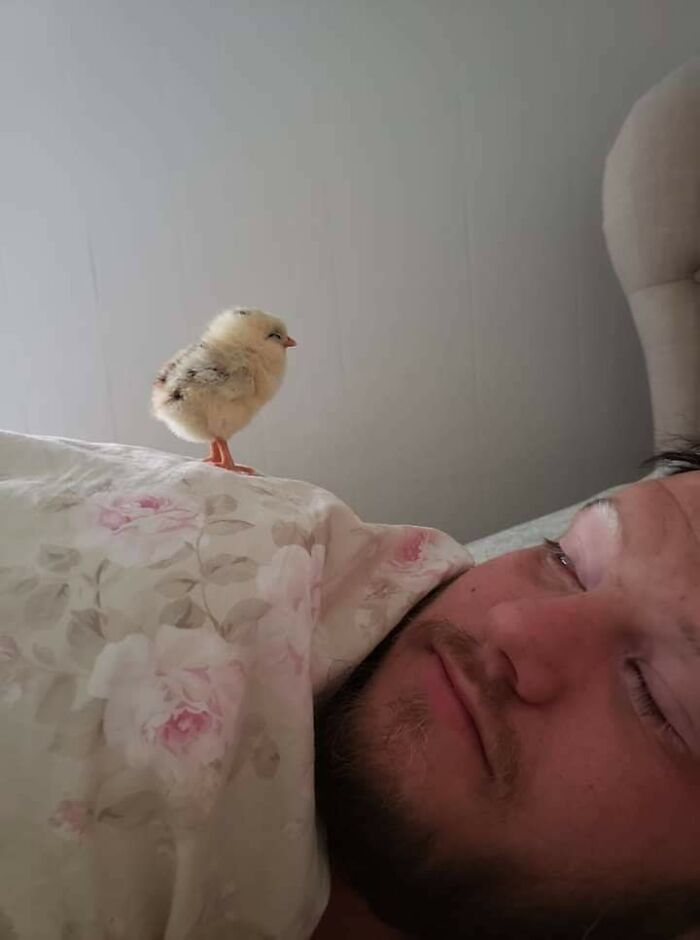 دیدنی های بامزه از حیوانات