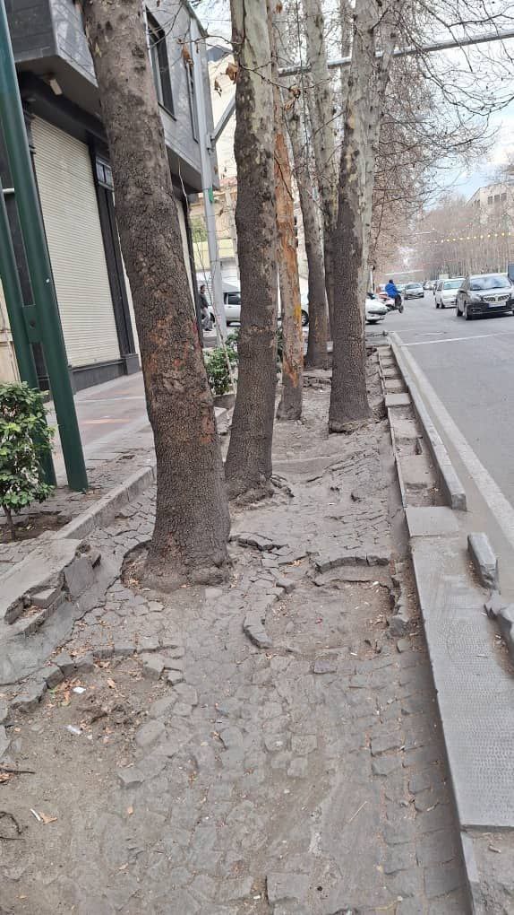 آسیب‌های وارده به درختان خیابان ولیعصر