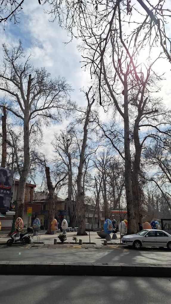آسیب‌های وارده به درختان خیابان ولیعصر