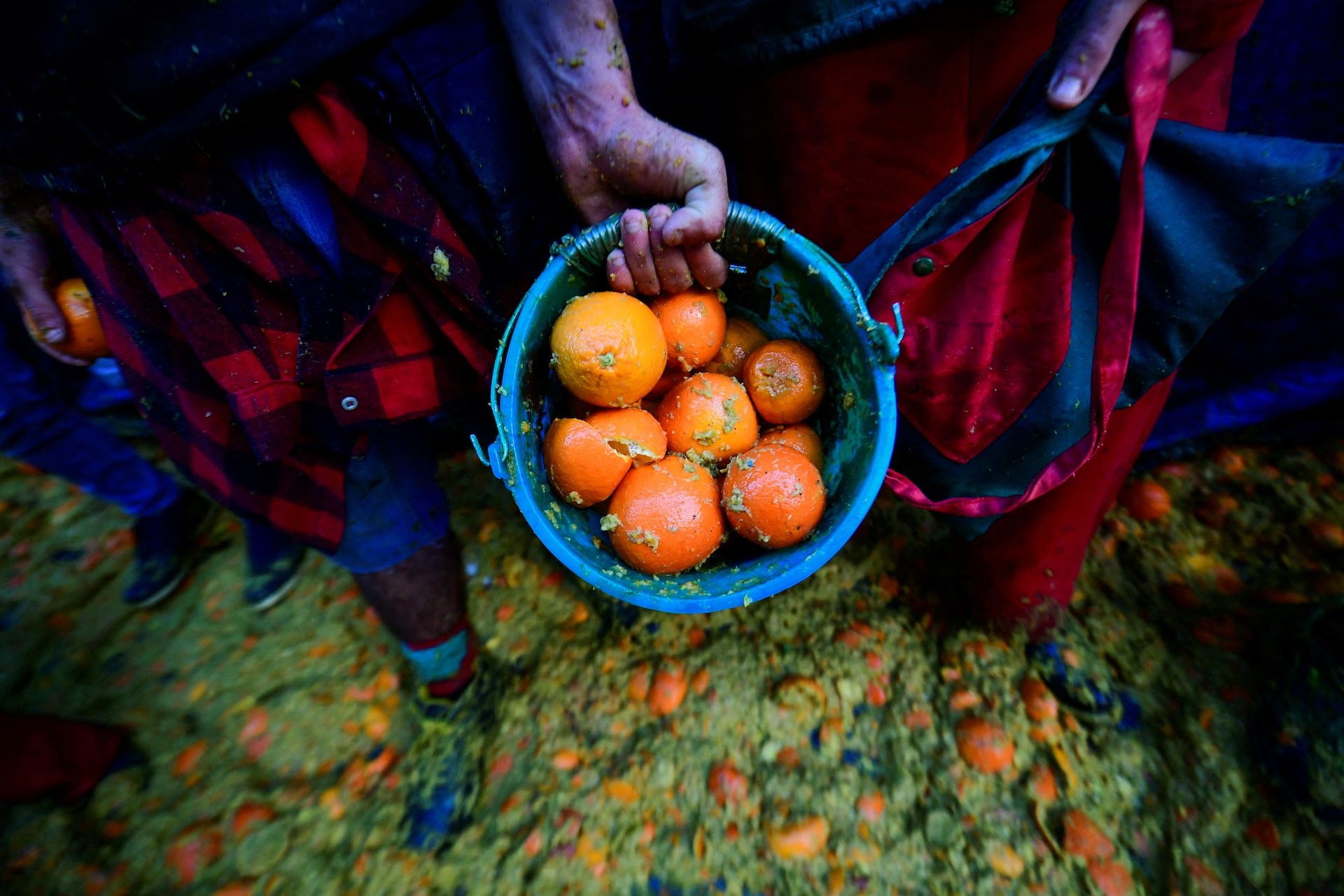 جنگ پرتقال در شمال ایتالیا