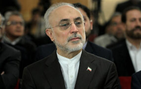 علی اکبر صالحی