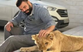علی‌اکبری از رسانه‌ای کردن توله شیر پشیمانم