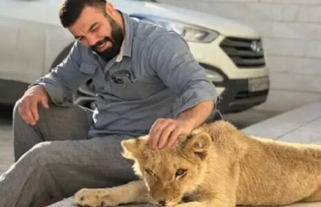 علی‌اکبری از رسانه‌ای کردن توله شیر پشیمانم