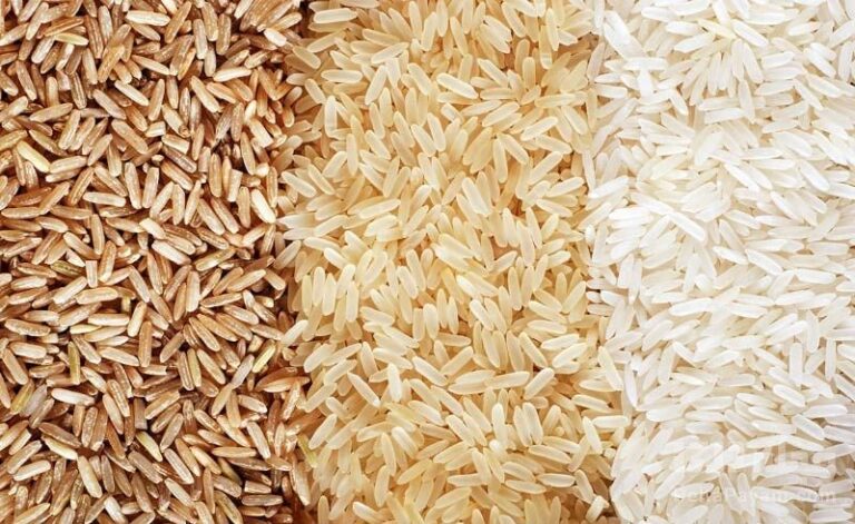 قیمت برنج خارجی
