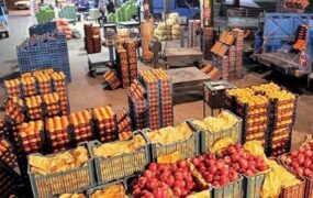 قیمت عمده میوه و صیفی‌جات
