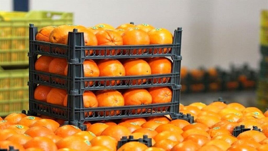 قیمت میوه