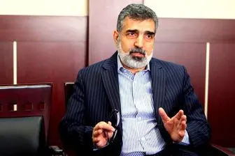 معاون سازمان انرژی اتمی