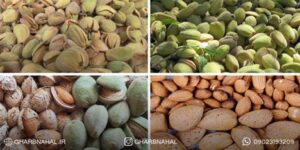 درآمد میلیاردی با کاشت نهال گردو وبادام دیرگل از مناطق سردسیر