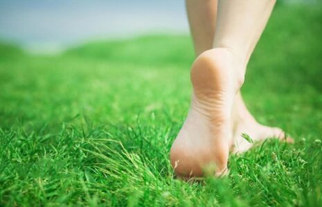 پیاده‌روی شن چمن کالری‌سوزی