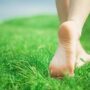پیاده‌روی شن چمن کالری‌سوزی