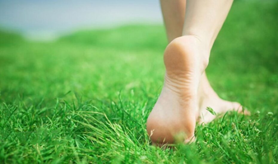 پیاده‌روی شن چمن کالری‌سوزی