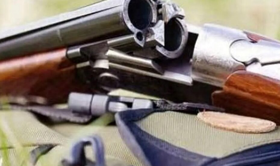 کشتن برادر کوچک با اسلحه شکاری