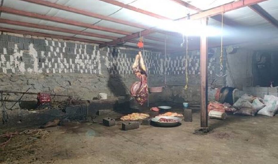 کشف بیش از ۱۱ تن گوشت اسب در سنندج