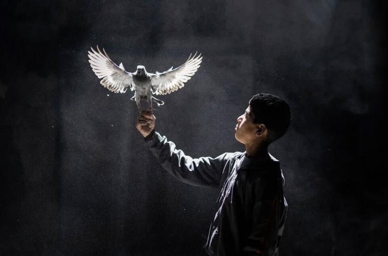 بازی نوجوان فلسطینی با یک کبوتر