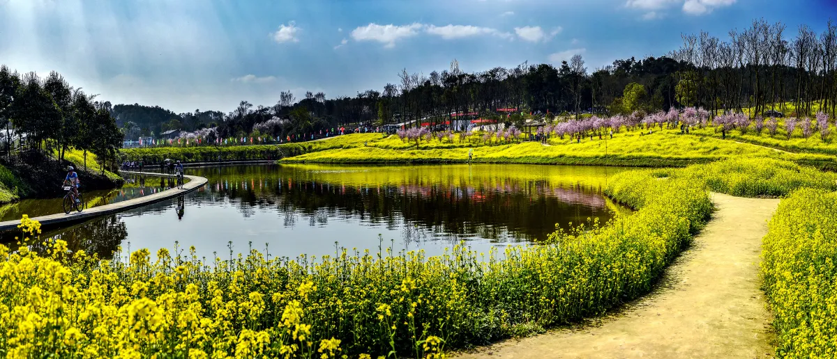 بهار در چین 