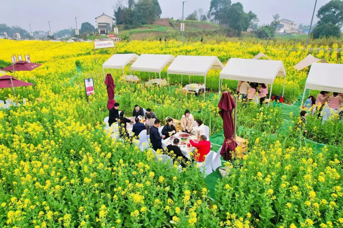 بهار در چین 