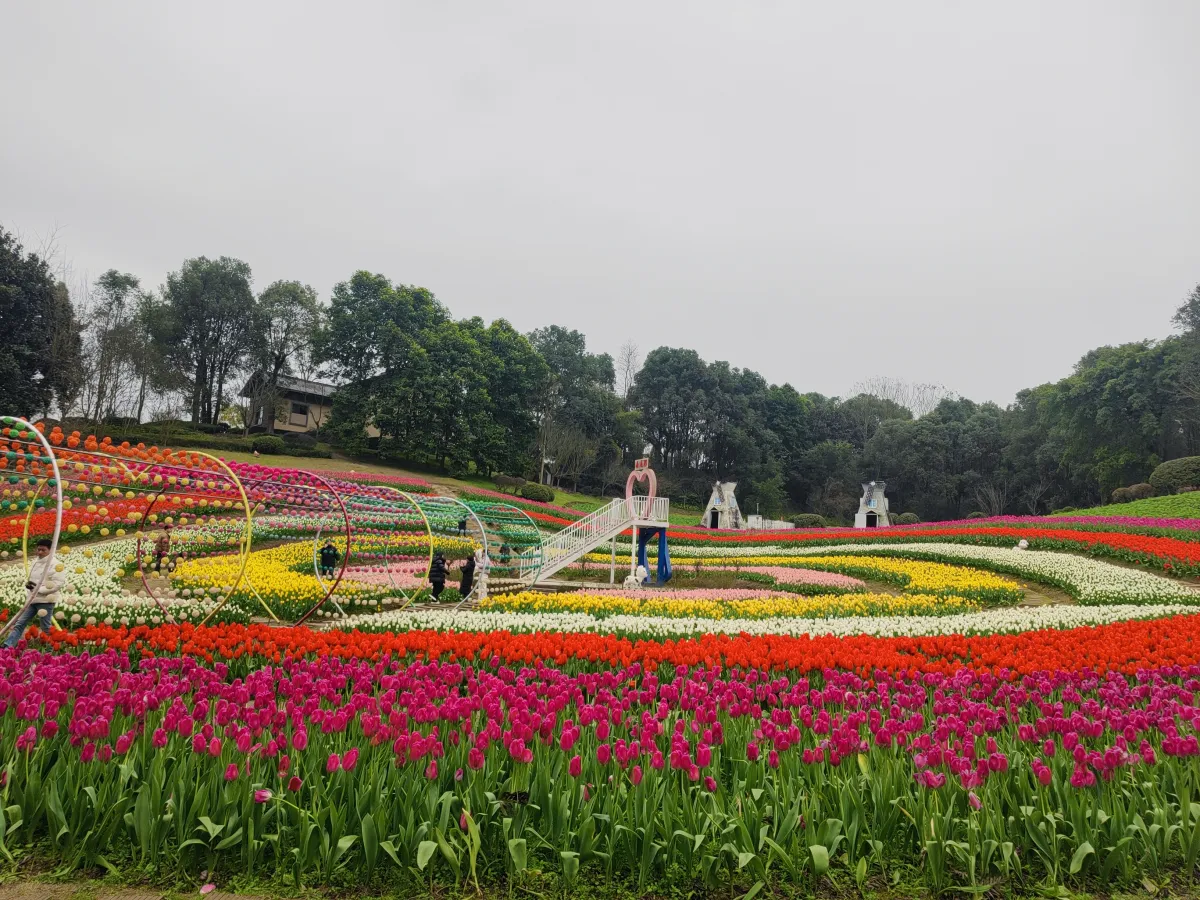 بهار در چین 