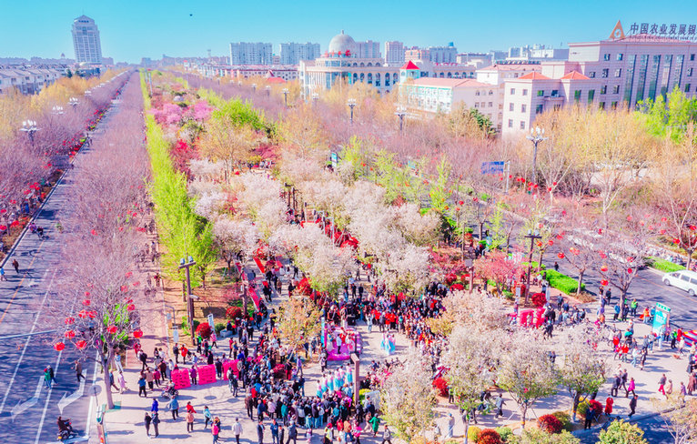 بهار در چین 