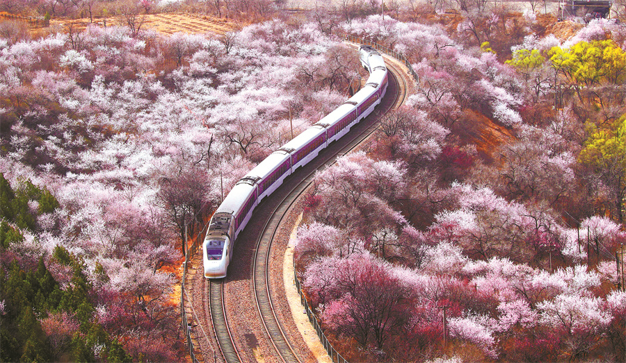 بهار در چین 