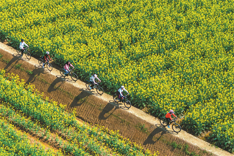 بهار در چین 