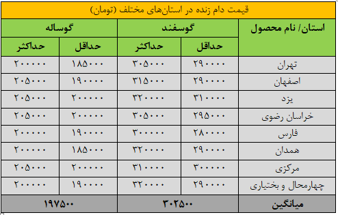 متن