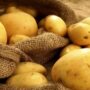 کمبود و گرانی دوباره سیب زمینی در بازار