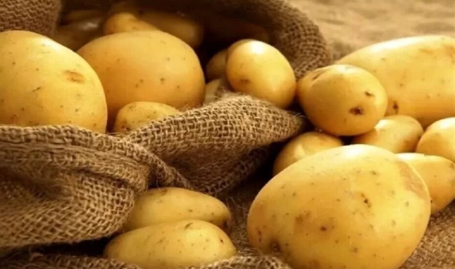 کمبود و گرانی دوباره سیب زمینی در بازار