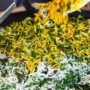 افزایش ارزش غذایی برنج