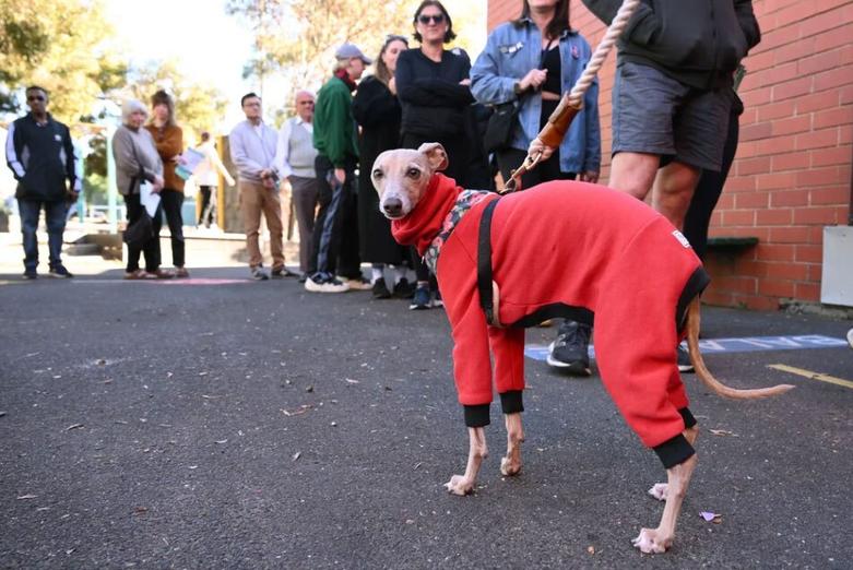 انتخابات سراسری در استرالیا