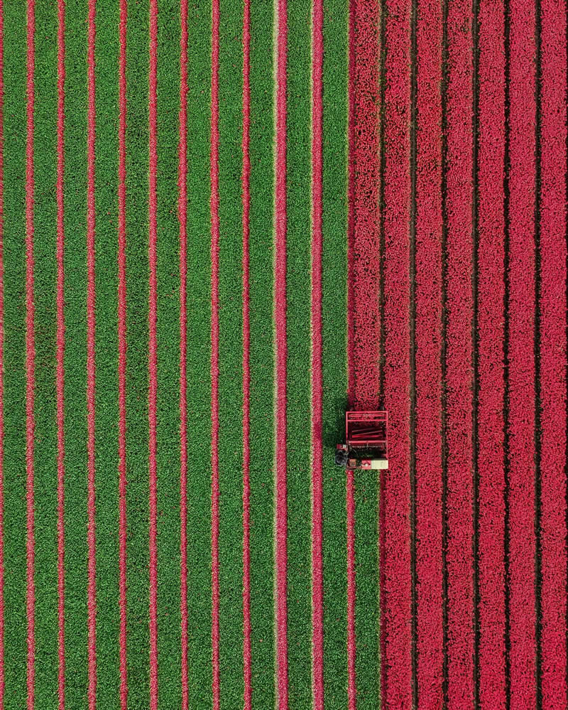 عکاس اوکراینی متخصص در عکاسی هوایی