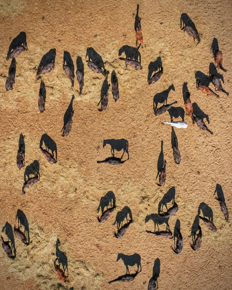 عکاس اوکراینی متخصص در عکاسی هوایی