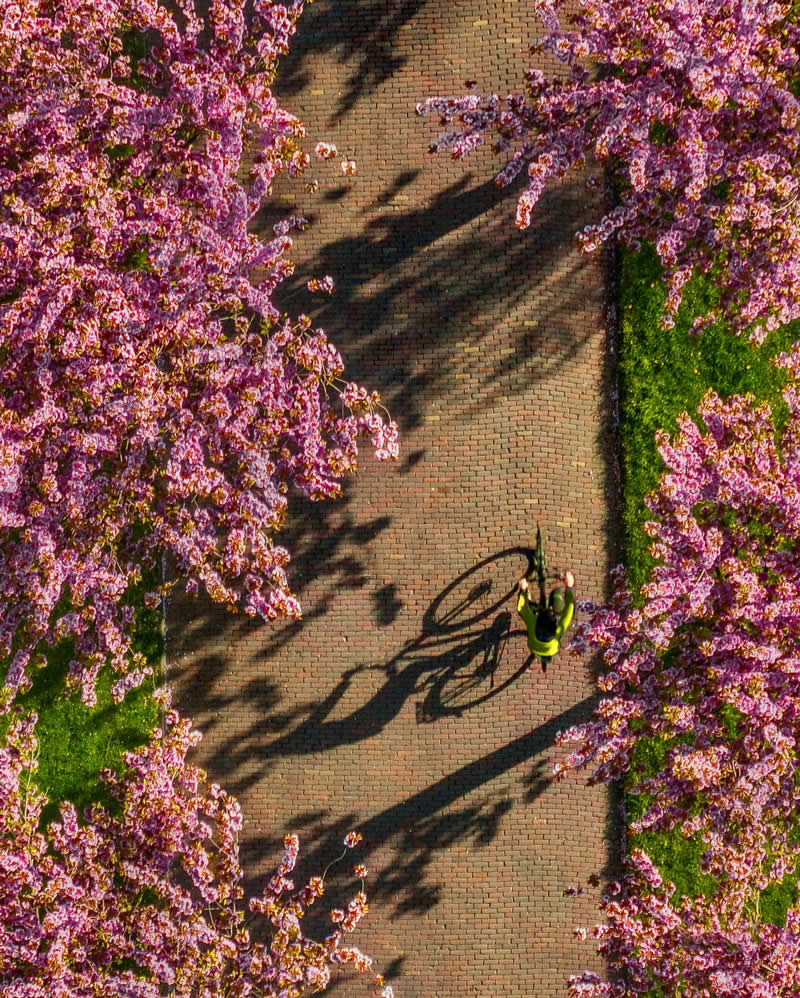 عکاس اوکراینی متخصص در عکاسی هوایی