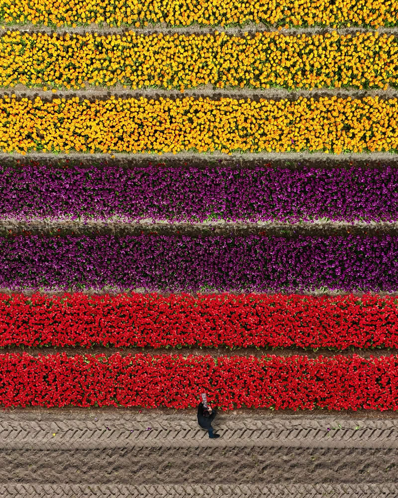 عکاس اوکراینی متخصص در عکاسی هوایی