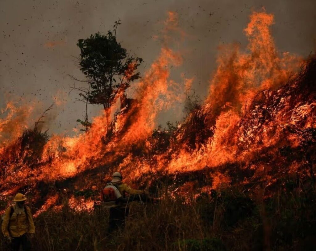 آتش سوزی