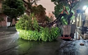 آمار مصدومین طوفان